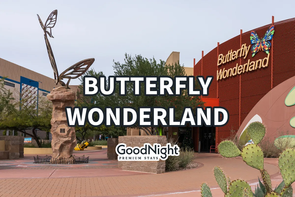 This exterior shot highlights the entrance to Butterfly Wonderland, showcasing a whimsical butterfly sculpture, clear signage, and desert landscaping with cacti. The inviting, playful mood makes it clear this is a top family attraction nearby.