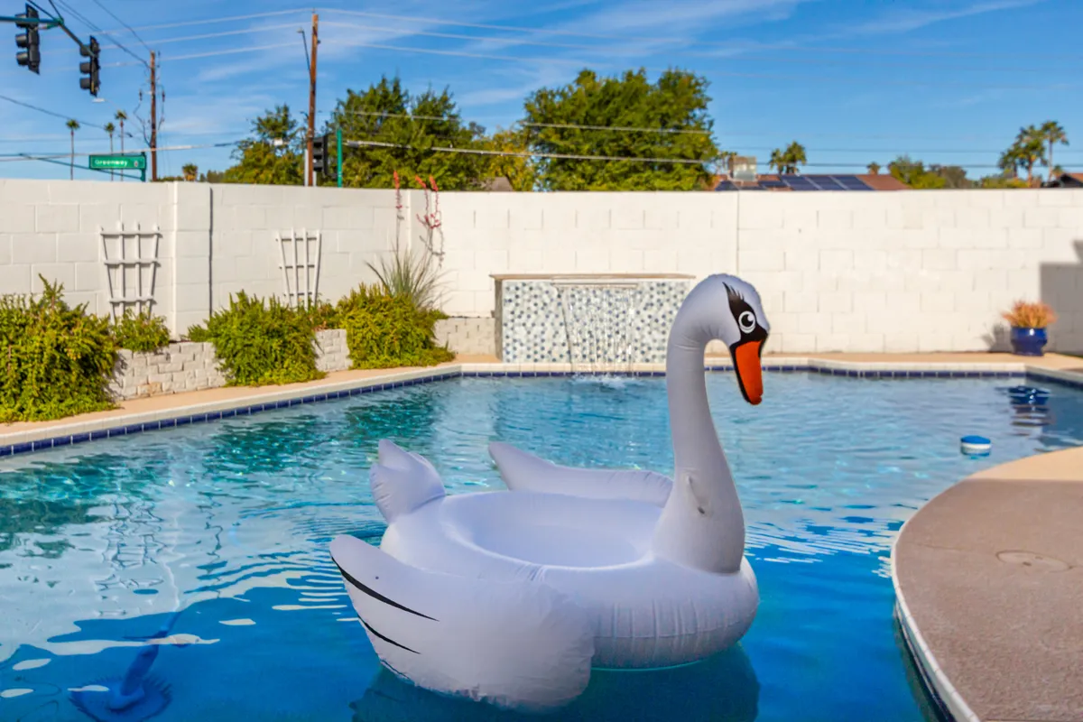 An exterior shot of a playful backyard scene featuring an inflatable swan float in the swimming pool, surrounded by landscaping. The image exudes a fun, resort-style mood, inviting guests to unwind and enjoy the outdoor amenities.